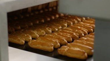 Konveyör hattında eclairs.