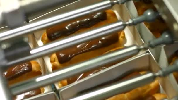 Caixas com eclairs de chocolate . — Vídeo de Stock