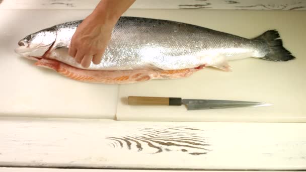 Mãos masculinas cortadas peixe grande . — Vídeo de Stock