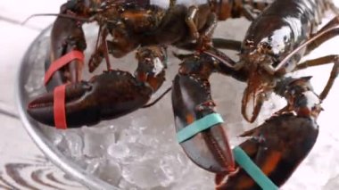 Bağlı pençeleri olan ham ıstakoz.