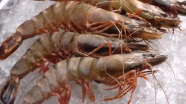 Çiğ karides buza yalan.