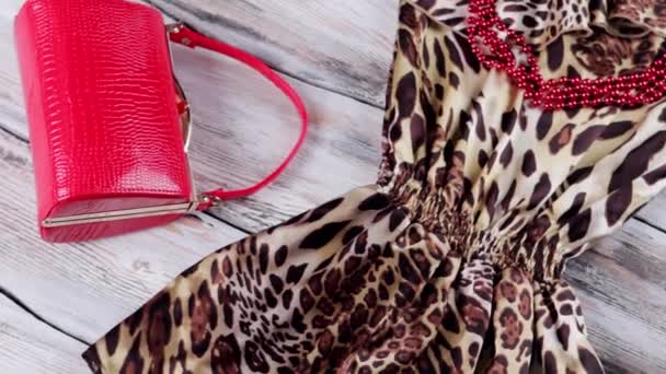 Leopardí šaty a červené podpatky. — Stock video