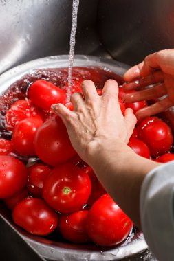 Eller büyük kırmızı domates yıkama.