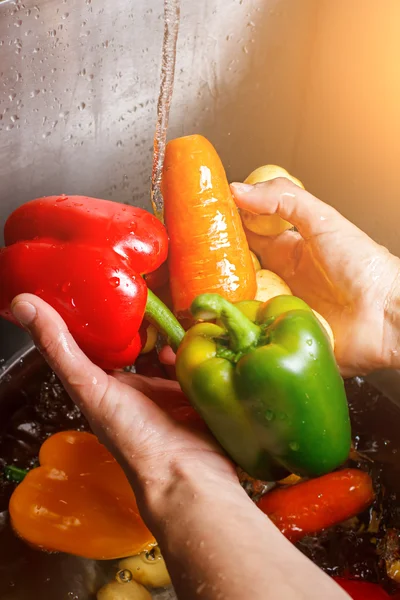 Ruce, mrkví a paprikou. — Stock fotografie