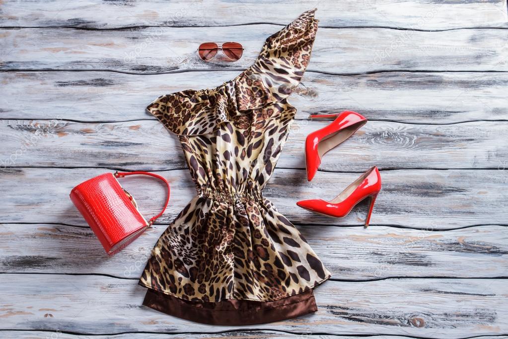 Leopard dress and red — Stock Photo © Denisfilm #112469808