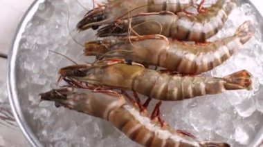 Karides buz ile plaka üzerinde.