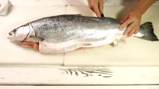 Hand with knife cuts fish. — Stock Footage Hand with knife cuts fish. Video Clip