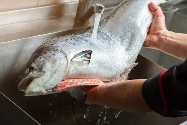 Руки мыть большую рыбу . — стоковое фото