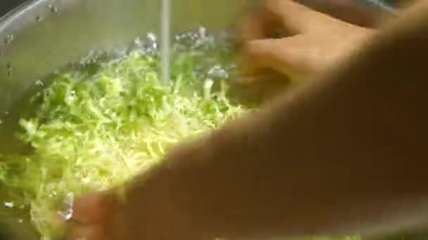 Macho manos lavado frisee lechuga . — Vídeo de stock