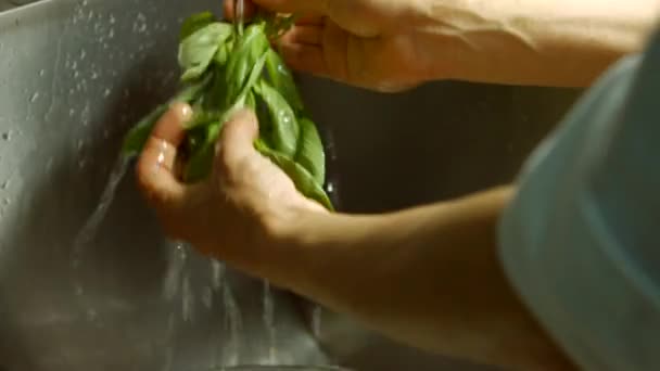 Männliche Hände waschen Basilikum. — Stockvideo