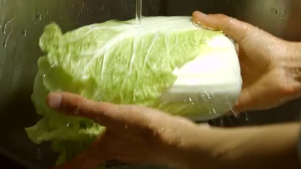 Hands washing chinese cabbage. — Stock Footage Hands washing chinese cabbage. Royalty Free Stock Footage