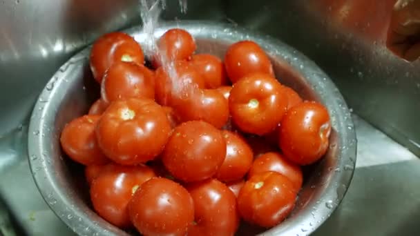Πιτσιλιές νερού στις κόκκινες ντομάτες. — Αρχείο Βίντεο