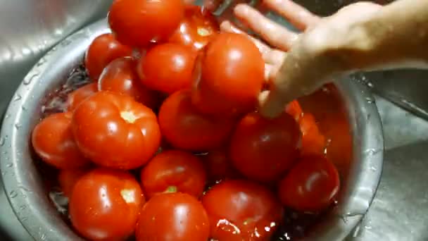 분 지에 토마토를 세척 하는 손. — 비디오