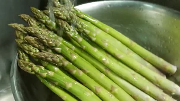 Water splashes on asparagus. — Stock Video