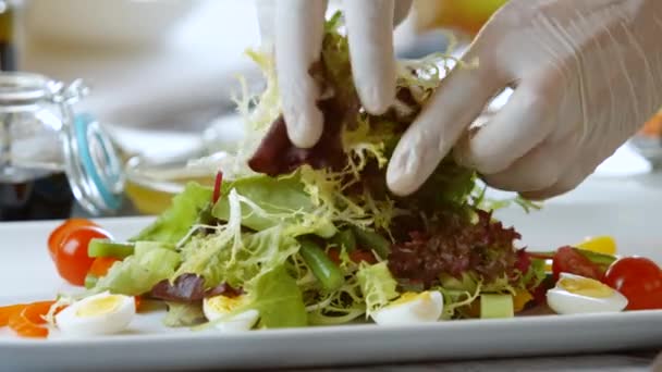 As mãos põem ervas na salada . — Vídeo de Stock