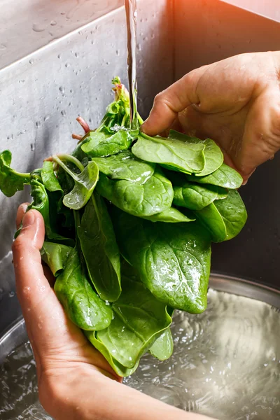 Mani maschili lavaggio spinaci . — Foto Stock