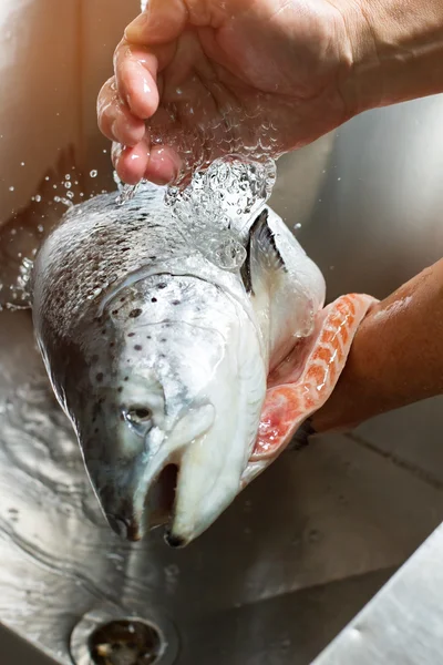 Руки моют рыбу . — стоковое фото