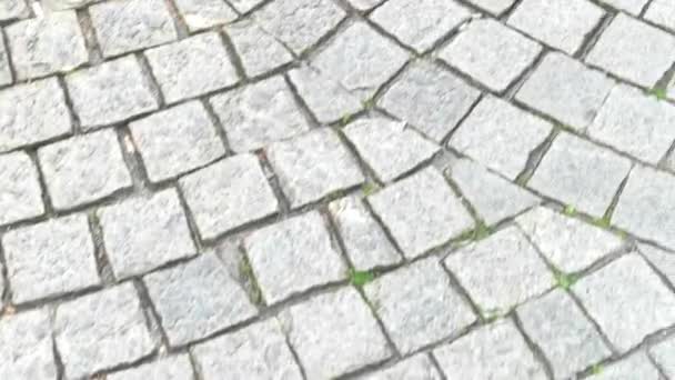 Pavimentación textura de piedra . — Vídeo de stock