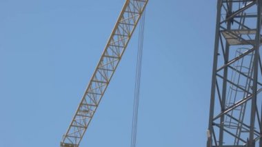 Mavi gökyüzü arka planında turna.