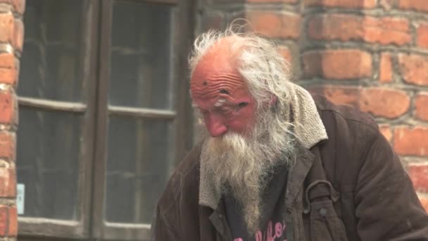 Old homeless man with beard. — Stock Video