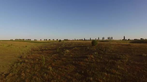 Field and blue sky. — Stock Video