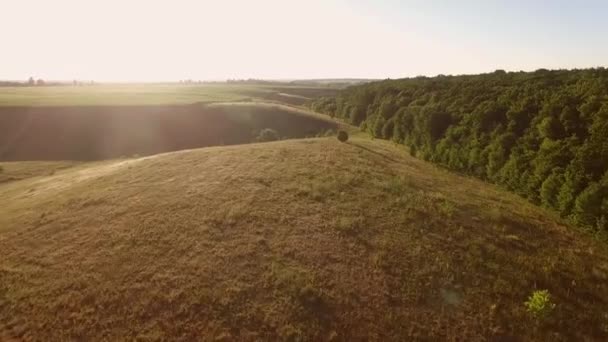 Hügel und grüner Wald. — Stockvideo