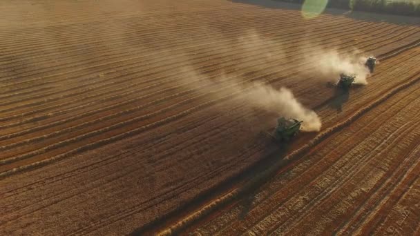 Combina el movimiento en el campo . — Vídeos de Stock