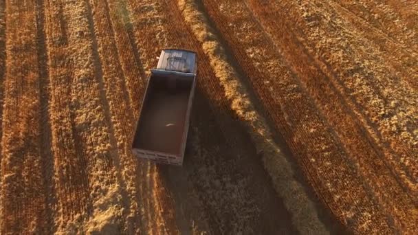 Camião em campo. — Vídeo de Stock