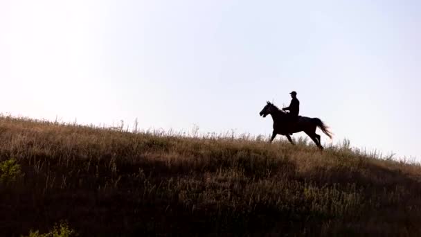 At binicisi hızla ilerliyor — Stok video