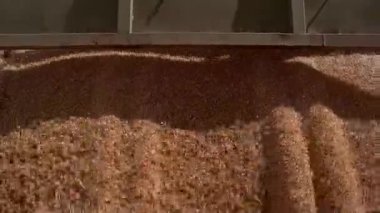 Tahıl büyük akış.