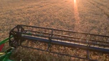 Bir hasat kulakları keser.