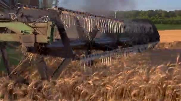 Lame de coupes combinées oreilles .