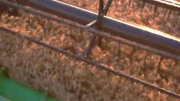 Lame de moissonneuse coupe oreilles .