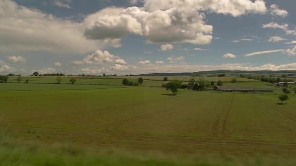 Зеленые поля и голубое небо . — стоковое видео