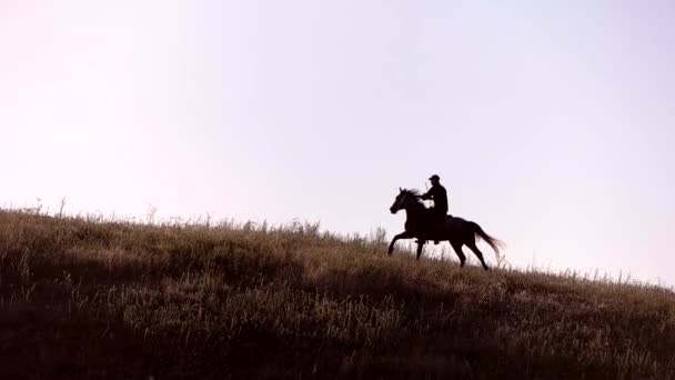 Horseman moving in slow motion. — Stock Video