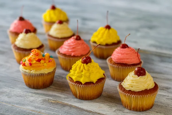 Cupcakes gelados brilhantes . — Fotografia de Stock