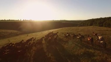 At nalı--dan soluduğumuz hava görünümünü.