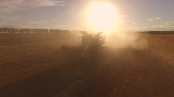 Combineren in een wolk van stof. — Stockvideo