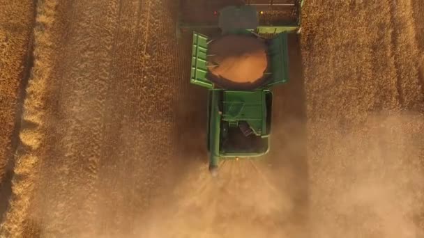 Vista superior da colheitadeira em movimento . — Vídeo de Stock