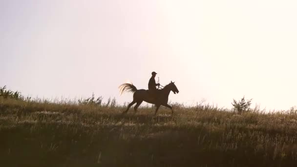 Porusza się człowiek na koniu. — Wideo stockowe