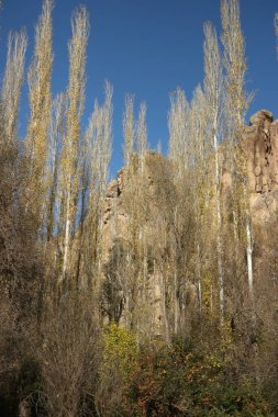 Ihlara Vadisi Ormanı, Kapadokya.