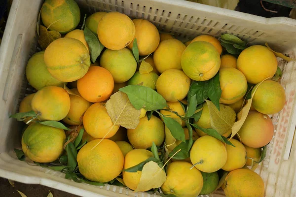 Pile of oranges with green leaves in basket. — Stock Photo, Image