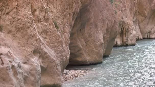 Ορεινός ποταμός ρέει μεταξύ τεράστιων βράχων και βράχων. — Αρχείο Βίντεο