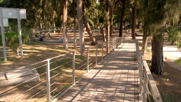 Vista del territorio del resort hotel con pini. — Foto Stock