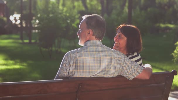 Visão traseira do casal aposentado feliz sentado no banco do parque. — Vídeo de Stock