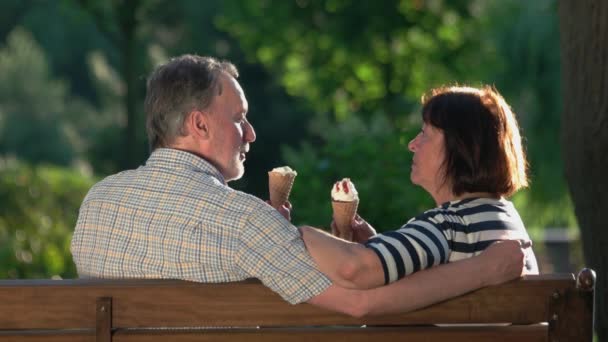 Heureux couple de personnes âgées se détendre dans le parc ensemble. — Video