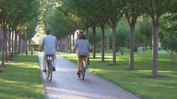 Powrót widok dojrzałej pary jazda na rowerze w parku. — Wideo stockowe
