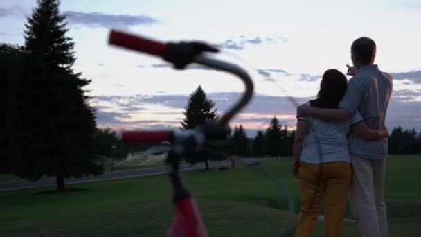 Visão traseira do casal sênior desfrutando do pôr do sol no parque. — Vídeo de Stock