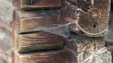 Örümcek ağlı klasik engel duvarı.