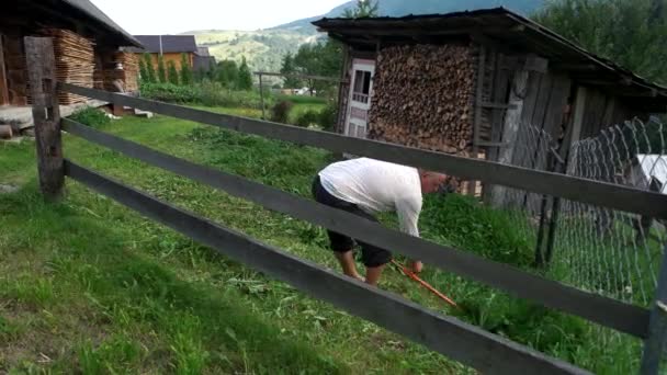 Hutsul seká trávu na dvorku. — Stock video